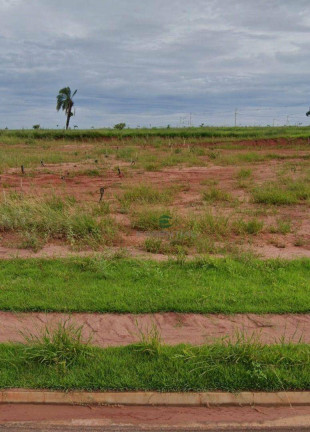 Terreno à Venda, 250 m² em  Centro (engenheiro Schmitt) - São José Do Rio Preto