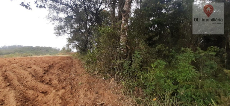 Imagem Imóvel à Venda, 98.000 m² em Piedade - Piedade Imagem Imóvel à Venda, 98.000 m² em Piedade - Piedade