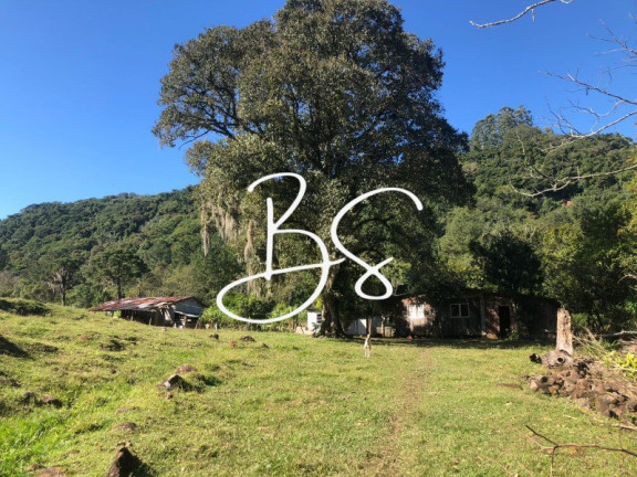 Imagem Imóvel com 2 Quartos à Venda, 240.000 m² em Padilha - São Francisco De Paula