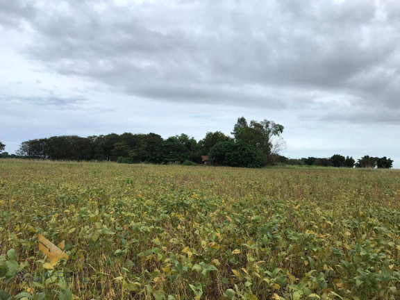 Imagem Chácara com 3 Quartos à Venda, 94.000 m² em Zona Rural - Sidrolândia Imagem Chácara com 3 Quartos à Venda, 94.000 m² em Zona Rural - Sidrolândia