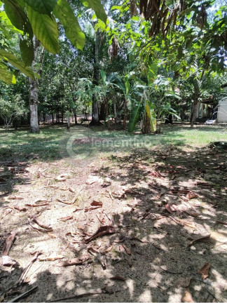 Chácara com 4 Quartos à Venda, 5.800 m² em Tarumã-açu - Manaus