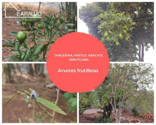 Imagem Imóvel com 6 Quartos à Venda, 600 m² em Piraporinha - Salto De Pirapora