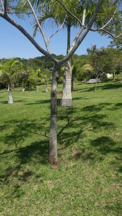 Imagem Imóvel com 4 Quartos à Venda, 20.300 m² em Centro - Araçoiaba Da Serra