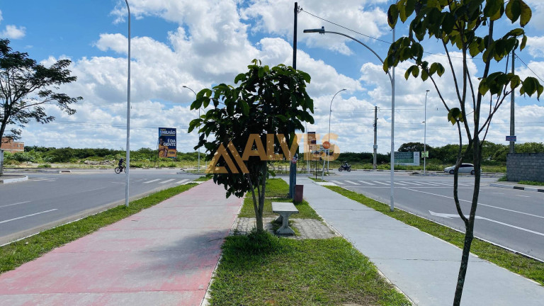 Terreno à Venda, 5.000 m² em Parque Ipê - Feira De Santana