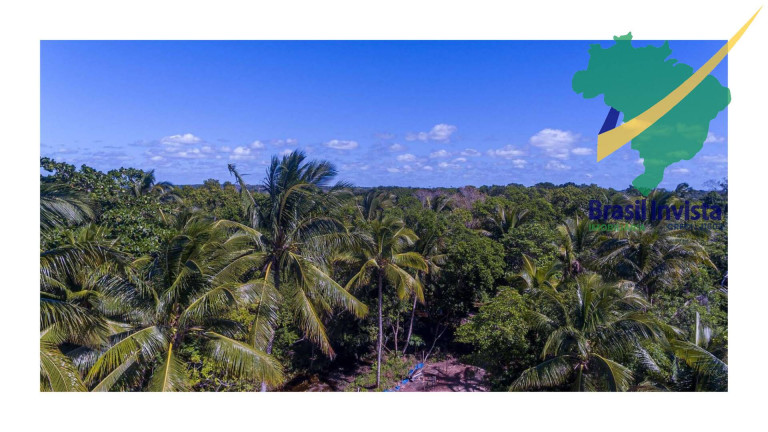 Imagem Terreno à Venda, 20 m² em Guaiù - Santa Cruz Cabrália Imagem Terreno à Venda, 20 m² em Guaiù - Santa Cruz Cabrália