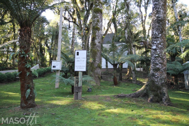 Imagem Casa de Condomínio com 4 Quartos à Venda, 34.471 m² em Mato Queimado - Gramado Imagem Casa de Condomínio com 4 Quartos à Venda, 34.471 m² em Mato Queimado - Gramado