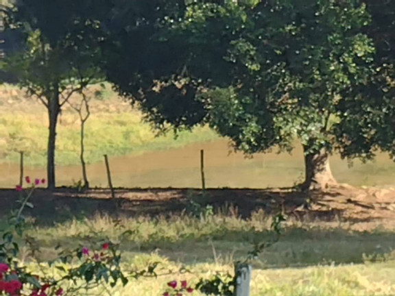 Imagem Chácara com 4 Quartos à Venda, 72.600 m² em Bom Retiro - Porto Feliz
