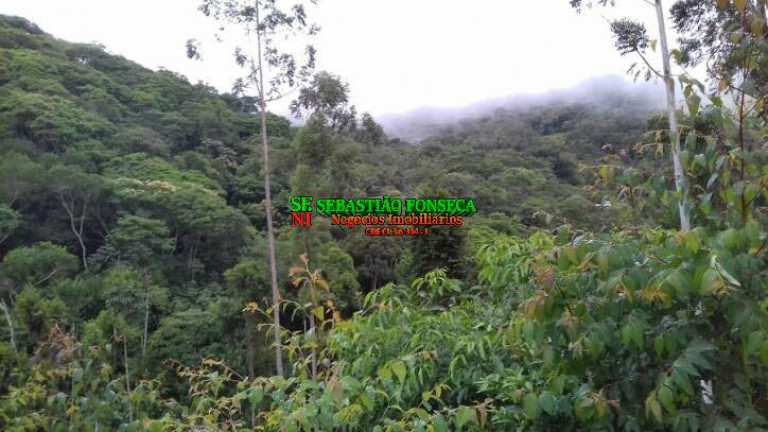 Imagem Chácara à Venda, 30.000 m² em Centro - Monteiro Lobato Imagem Chácara à Venda, 30.000 m² em Centro - Monteiro Lobato