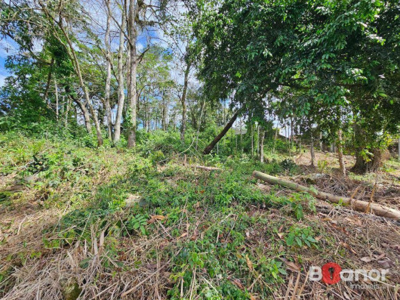 Imagem Terreno à Venda, 594 m² em Escola Agrícola - Blumenau Imagem Terreno à Venda, 594 m² em Escola Agrícola - Blumenau