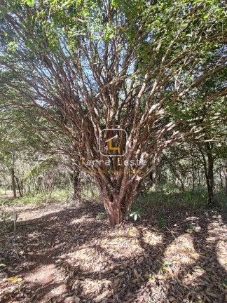 Imagem Terreno à Venda, 20.000 m² em Piedade Do Paraopeba - Brumadinho Imagem Terreno à Venda, 20.000 m² em Piedade Do Paraopeba - Brumadinho