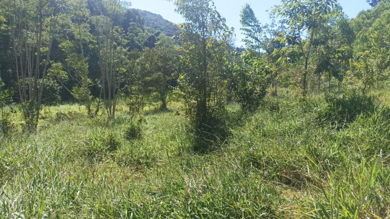 Chácara com 1 Quarto à Venda, 200 m² em Mirandão - Paraibuna