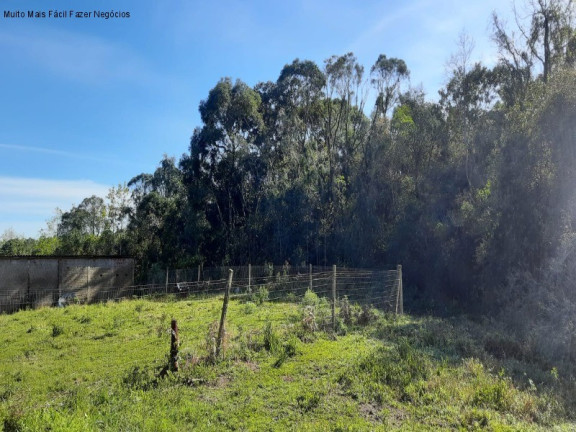 Imagem Terreno à Venda, 1 m² em Br 116 - Nova Petrópolis Imagem Terreno à Venda, 1 m² em Br 116 - Nova Petrópolis