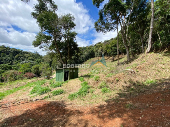 Imagem Imóvel com 3 Quartos à Venda, 70.000 m² em Vargem Grande - Teresópolis