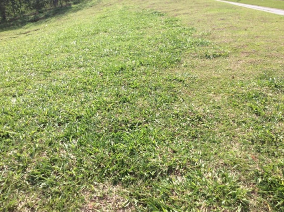 Imagem Terreno à Venda, 500 m² em Chácara São João - Carapicuíba Imagem Terreno à Venda, 500 m² em Chácara São João - Carapicuíba