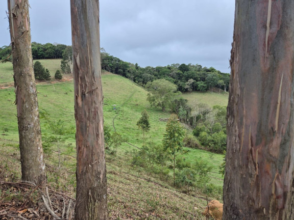Imagem Chácara com 2 Quartos à Venda, 180 m² em Macaco - Paraibuna Imagem Chácara com 2 Quartos à Venda, 180 m² em Macaco - Paraibuna