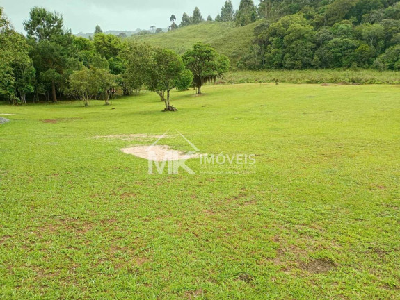 Terreno à Venda, 42.000 m² em Piraquara