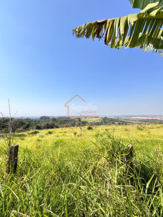 Imagem Imóvel com 4 Quartos à Venda, 1.080 m² em Pederneiras - Engenheiro Coelho Imagem Imóvel com 4 Quartos à Venda, 1.080 m² em Pederneiras - Engenheiro Coelho