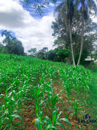 Imagem Imóvel à Venda, 24.000 m² em Zona Rural - Marques De Souza Imagem Imóvel à Venda, 24.000 m² em Zona Rural - Marques De Souza