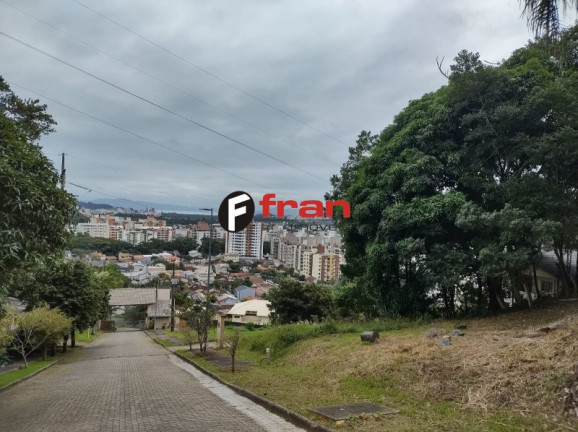 Imagem Imóvel à Venda, 530 m² em Córrego Grande - Florianópolis Imagem Imóvel à Venda, 530 m² em Córrego Grande - Florianópolis