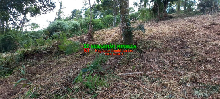 Imagem Chácara à Venda, 30.000 m² em Centro - Monteiro Lobato Imagem Chácara à Venda, 30.000 m² em Centro - Monteiro Lobato