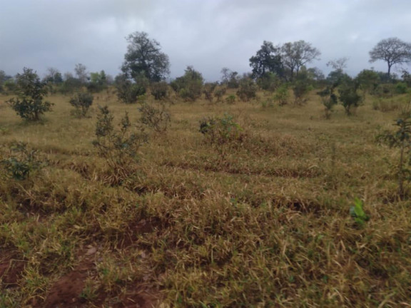 Imagem Fazenda à Venda, 730 m² em Rural - Corguinho Imagem Fazenda à Venda, 730 m² em Rural - Corguinho
