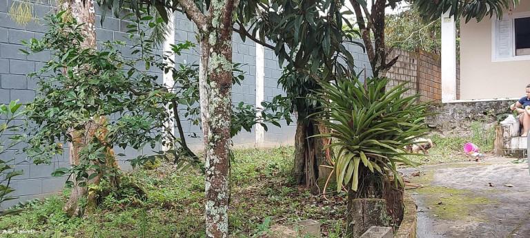 Imagem Casa com 3 Quartos à Venda, 450 m² em Umuarama - Itanhaém Imagem Casa com 3 Quartos à Venda, 450 m² em Umuarama - Itanhaém