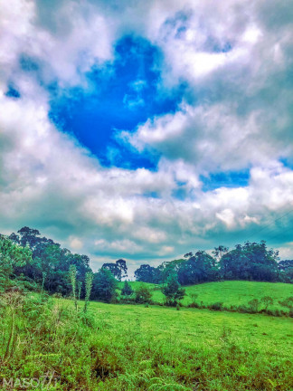 Imagem Chácara à Venda, 70.000 m² em Serra Grande Alemã - Gramado Imagem Chácara à Venda, 70.000 m² em Serra Grande Alemã - Gramado