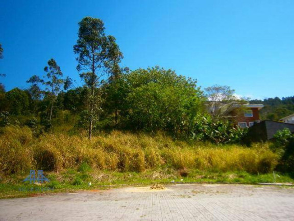 Imagem Terreno à Venda, 747 m² em Itacorubi - Florianópolis