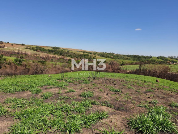Imagem Terreno à Venda, 54.000 m² em Chácara Recreio Cruzeiro Do Sul - Santa Bárbara D'oeste