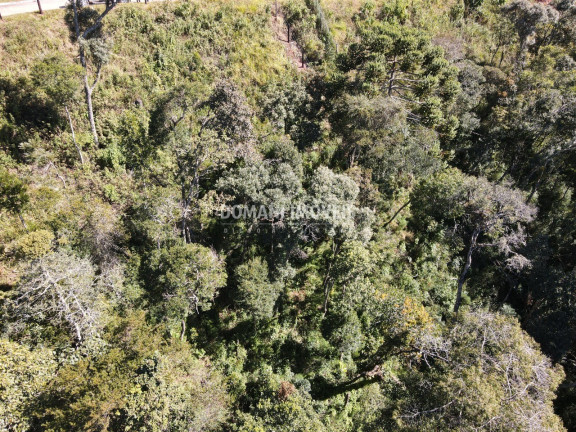Imagem Terreno à Venda, 2.080 m² em Região Do Atalaia - Campos Do Jordão