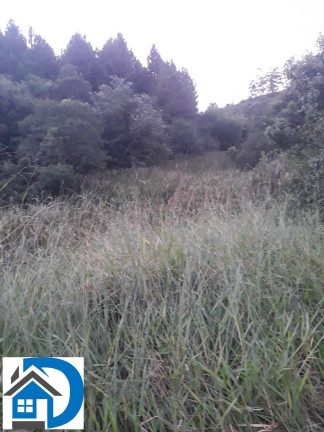 Imagem Chácara à Venda, 1 m² em Zona Rural - São Miguel Arcanjo Imagem Chácara à Venda, 1 m² em Zona Rural - São Miguel Arcanjo