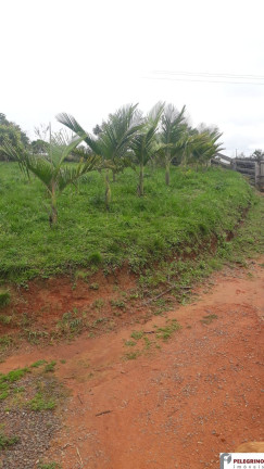 Imagem Imóvel com 2 Quartos à Venda, 95 m² em Zona Rural - Sentinela Do Sul Imagem Imóvel com 2 Quartos à Venda, 95 m² em Zona Rural - Sentinela Do Sul