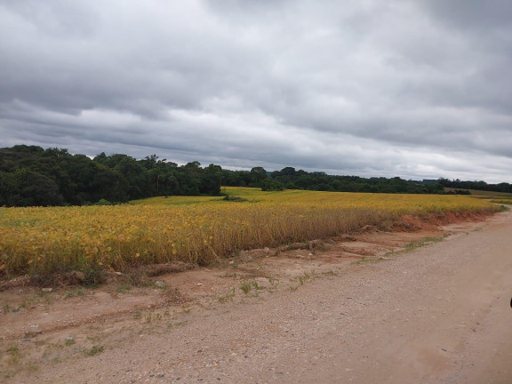 Imagem Imóvel à Venda, 24.200 m² em Centro - Araucária Imagem Imóvel à Venda, 24.200 m² em Centro - Araucária