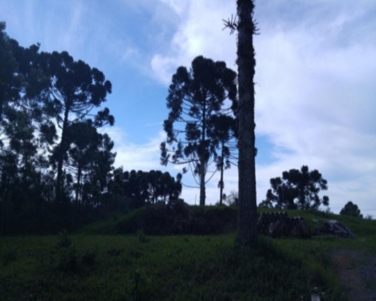 Imagem Terreno à Venda, 1.051 m² em Vila Germânia - Nova Petrópolis Imagem Terreno à Venda, 1.051 m² em Vila Germânia - Nova Petrópolis