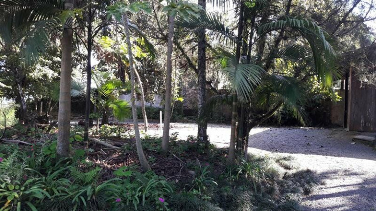 Imagem Terreno à Venda, 3.000 m² em América - Joinville Imagem Terreno à Venda, 3.000 m² em América - Joinville