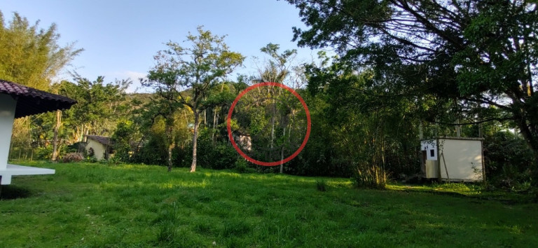 Imagem Casa com 2 Quartos à Venda, 240 m² em Camburi - São Sebastião