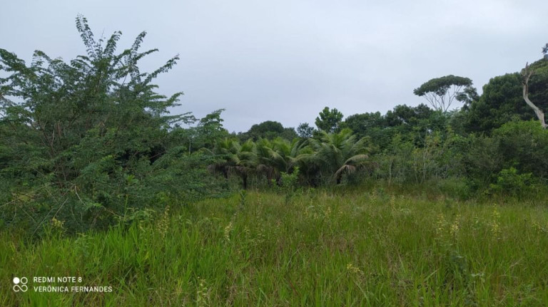 Imagem Terreno à Venda, 5.000 m² em Aldeia Dos Camarás - Camaragibe Imagem Terreno à Venda, 5.000 m² em Aldeia Dos Camarás - Camaragibe