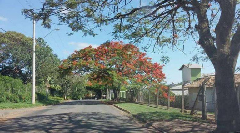 Imagem Casa com 5 Quartos à Venda, 400 m² em Condomínio Terras De Itaici - Indaiatuba Imagem Casa com 5 Quartos à Venda, 400 m² em Condomínio Terras De Itaici - Indaiatuba