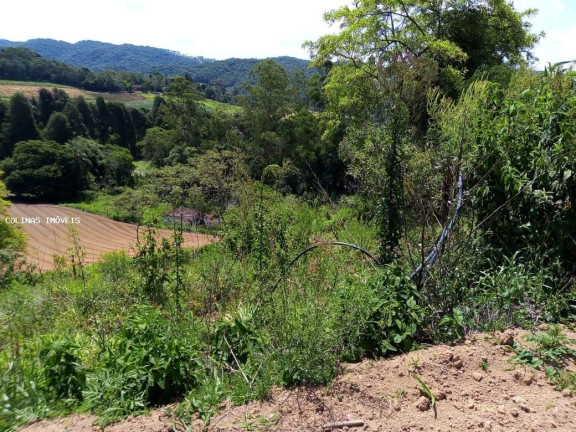 Imagem Terreno à Venda, em Depois Do Centro - Ibiúna Imagem Terreno à Venda, em Depois Do Centro - Ibiúna