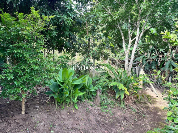 Imagem Imóvel com 3 Quartos à Venda, 24.200 m² em Centro - Munhoz Imagem Imóvel com 3 Quartos à Venda, 24.200 m² em Centro - Munhoz