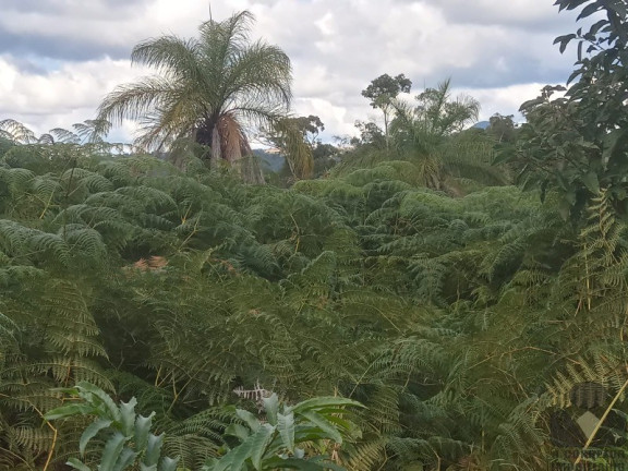 Imagem Imóvel à Venda, 20.000 m² em Roças Novas (caeté - Mg) - Caeté Imagem Imóvel à Venda, 20.000 m² em Roças Novas (caeté - Mg) - Caeté