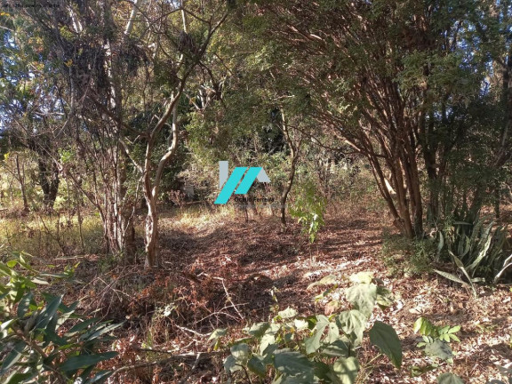 Imagem Fazenda à Venda, 2.300 m² em Cidade Jardim - Esmeraldas Imagem Fazenda à Venda, 2.300 m² em Cidade Jardim - Esmeraldas