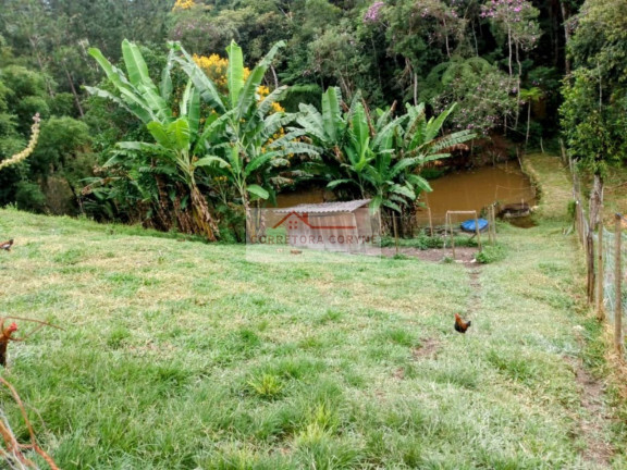 Imagem Imóvel com 3 Quartos à Venda, 4.700 m² em Palmeiras - Juquitiba Imagem Imóvel com 3 Quartos à Venda, 4.700 m² em Palmeiras - Juquitiba