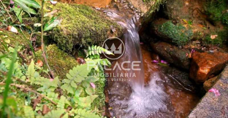Fazenda à Venda, 181.500 m² em Charqueada - Charqueada