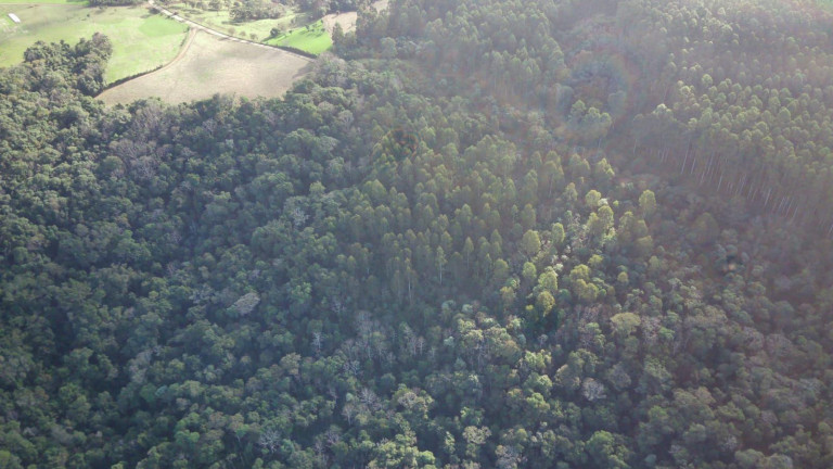 Imagem Terreno à Venda, 49.381 m² em Interior - Concórdia Imagem Terreno à Venda, 49.381 m² em Interior - Concórdia