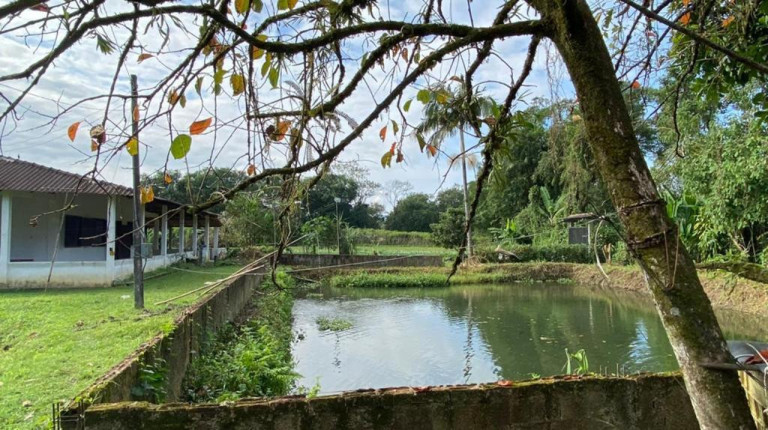Imagem Imóvel com 3 Quartos à Venda, 12.000 m² em Cachoeira - Antonina