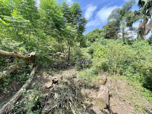 Imagem Terreno à Venda, 907 m² em Granja Viana - Cotia Imagem Terreno à Venda, 907 m² em Granja Viana - Cotia