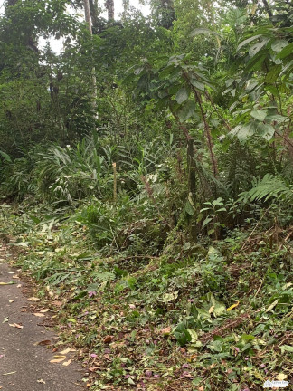 Imagem Terreno à Venda, 350 m² em Corcovado - Ubatuba Imagem Terreno à Venda, 350 m² em Corcovado - Ubatuba