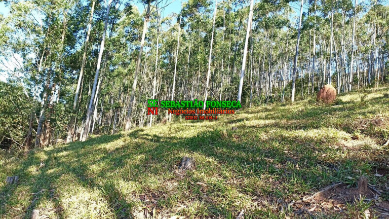 Imagem Chácara à Venda, 2 m² em Centro - Paraibuna Imagem Chácara à Venda, 2 m² em Centro - Paraibuna
