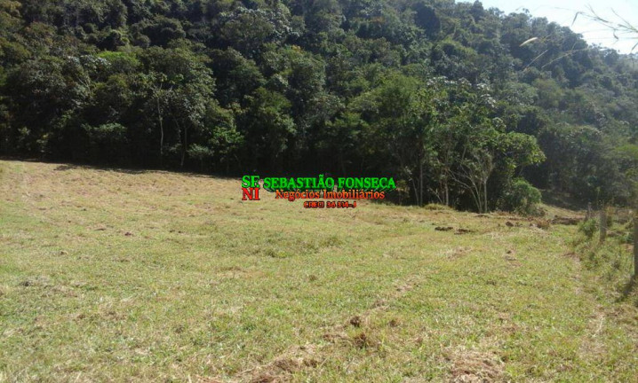 Imagem Chácara à Venda, 6.000 m² em Bairro Dos Pinheiros - Natividade Da Serra Imagem Chácara à Venda, 6.000 m² em Bairro Dos Pinheiros - Natividade Da Serra